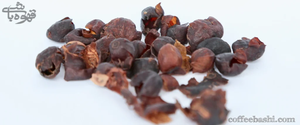کاسکارا cascara چیست؟